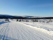 Vue depuis Lindvallen vers le Högfjellet