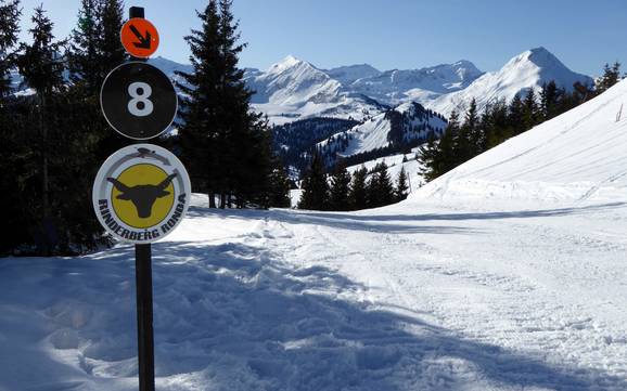 Domaines skiables pour skieurs confirmés et freeriders Gstaad – Skieurs confirmés, freeriders Rinderberg/Saanerslochgrat/Horneggli – Zweisimmen/Saanenmöser/Schönried/St. Stephan