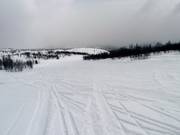 Descente Frognerbakken