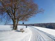 Accès au téléski à Landsberied