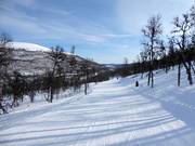 Piste Skogsstigen n° 42