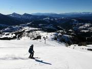 Piste n° 21 Laurin II