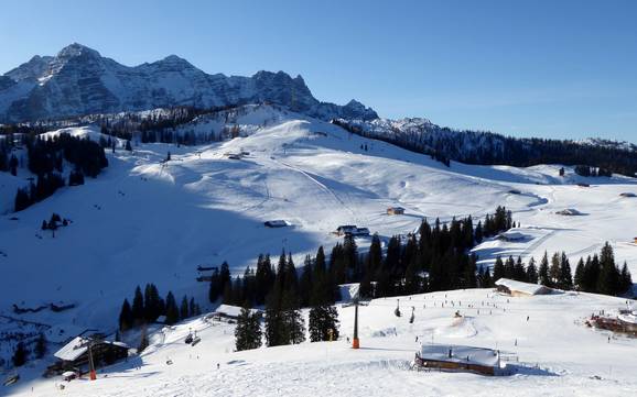 Saalachtal (vallée de la Saalach): Taille des domaines skiables – Taille Almenwelt Lofer