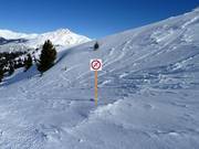 Interdiction de skier à travers les forêts