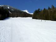 Piste facile et large Incline