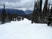 Piste de liaison Ripper Connector