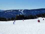 Piste facile et large Chevreuil