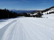 Piste intermédiaire Doladizza