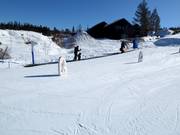 Tapis roulant gratuit Rullis