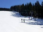 Weitmoos-Tellerlift - Téléski