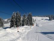 Übungslift Gapfohl - Téléski