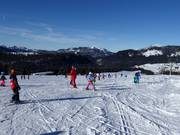 Pistes faciles pour enfants sur la Winklmossalm