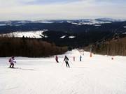 Piste de difficulté moyenne au télésiège Almberg