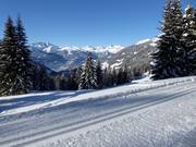 Piste panoramique de ski de fond au Kristberg