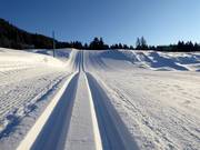 Piste de ski de fond parfaitement damée à Lenzerheide