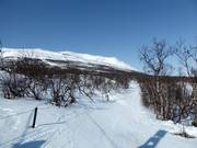 La descente vers la vallée serpente à travers une forêt clairsemée.