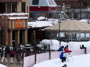 Restaurant recommandé : The Farm