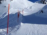 Délimitations détaillées des pistes