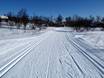Ski nordique Norvège – Ski nordique Geilo