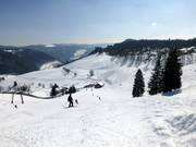 Vue depuis la descente du téléski Winkel vers le Franzosenberg