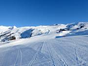 Pistes Tétras et Renard (La Rosière)