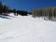 Descente au Arrowhead Mountain