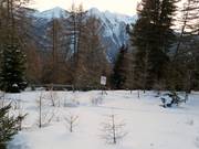 Barrière des zones de protection forestière