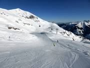 Pistes faciles au télésiège Gipfelbahn (avec quelques passages un peu plus raides)