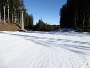 Très facile descente en forêt à Lavarone