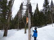 Piste ludique pour enfants