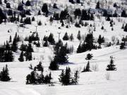 Galtenheisen - Téléski à pioches