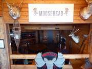 Moosehead Bar au Abom