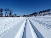 Pistes de ski de fond à Geilo
