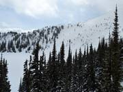 Pistes de poudreuse difficiles The Cliff