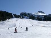 Piste facile au télésiège Rossstelle à Mellau