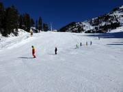 Débutants au téléski Wesele