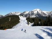 Piste n° 3a Ochsenkopf