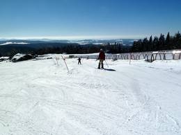 Mitterdorf (Almberg) – Mitterfirmiansreut