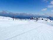 Piste facile Wintergarden