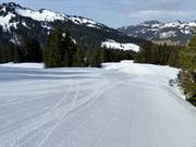 Piste familiale facile