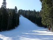 Piste noire Martinovi baraki 4