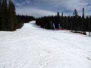 Piste facile Järvbacken