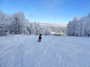 Piste de difficulté moyenne au télésiège Kleine Almberg