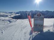 Bouleaux-Line au Soum de Matte