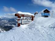 Entrée dans la Curry Bowl