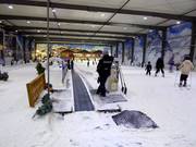 Le tapis roulant est parfait pour les débutants.