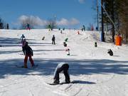 Des personnages amusants sur la piste