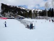 Bon plan pour les enfants : 