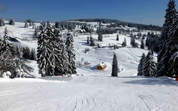 Breisgau-Hochschwarzwald: Taille des domaines skiables – Taille Feldberg – Seebuck/Grafenmatt/Fahl