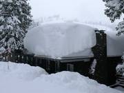 Beaucoup de neige naturelle à Brighton